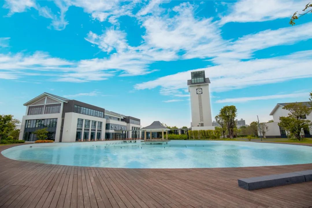 1605149729848020.jpg 2.jpg