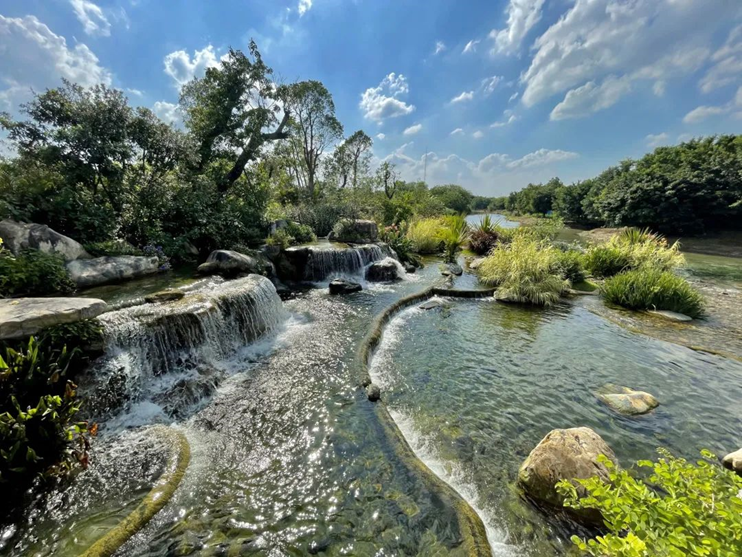 1638524725945724.png image.png