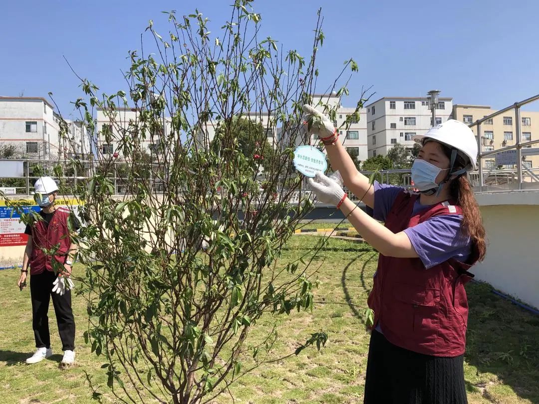 1648717006774804.jpg 7573d1eec0676b364d3909ed5e888a53.jpg