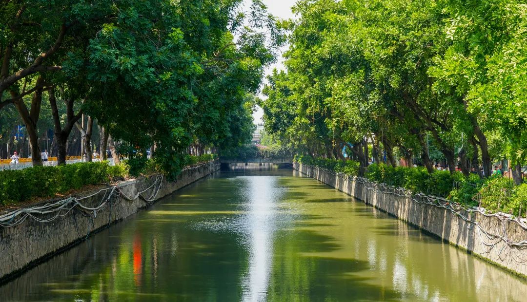 1667380926953163.jpg 6eabc437ae460c4fa00a3fff4454a705.jpg