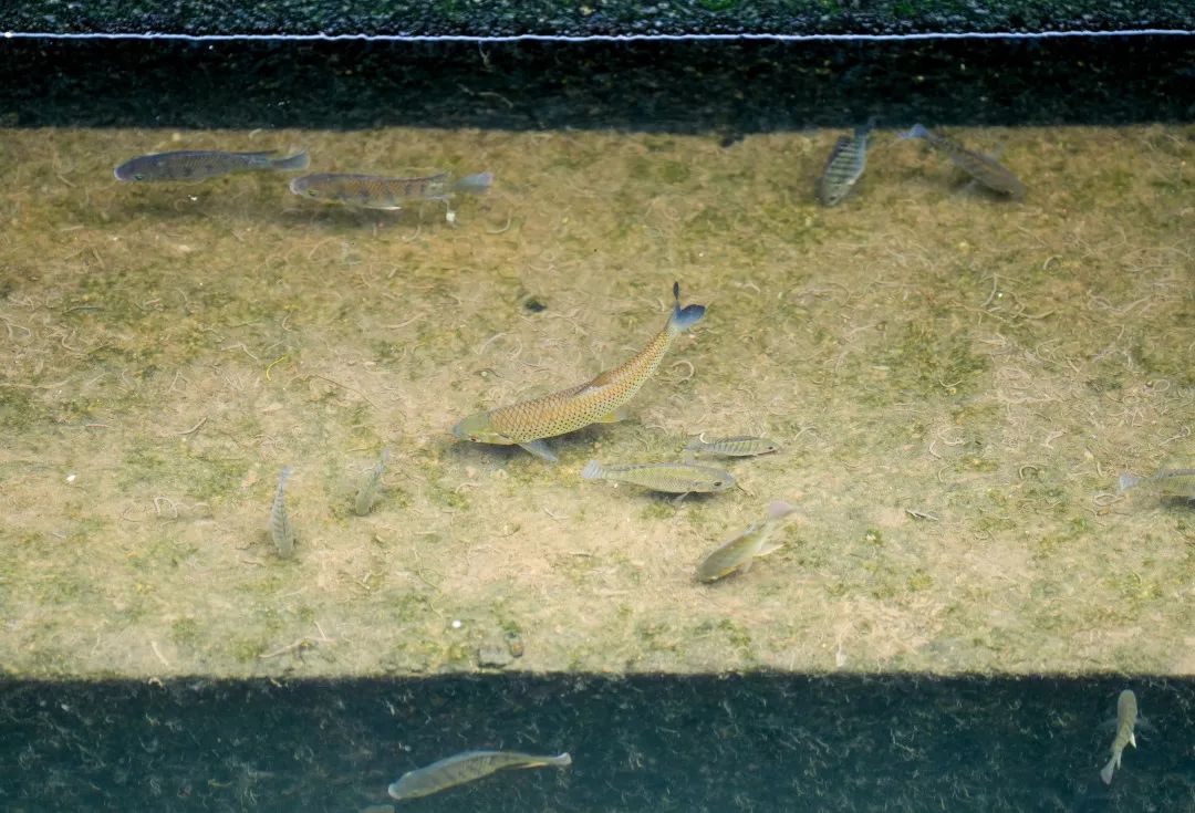 1667381094627089.jpg 9caad959029d81087ad23aefec58b194.jpg